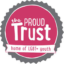 Peer support, advocacy, and inclusion programmes for LGBTQ+ young people