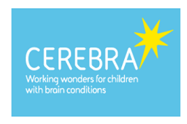 Practical Support for Families of Children with Brain Conditions